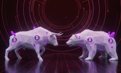 Медведи и быки