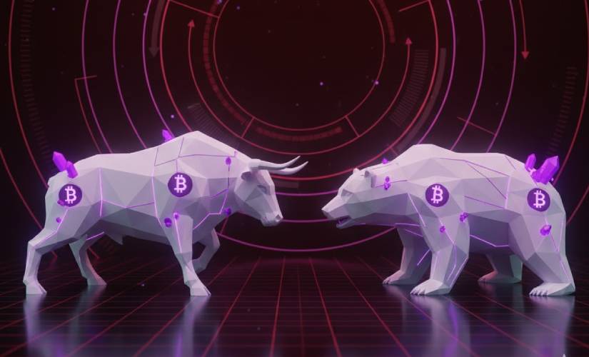 Медведи и быки