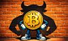 Бык биткоин