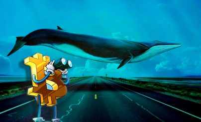 Крупные держатели BTC демонстрируют признаки накопления