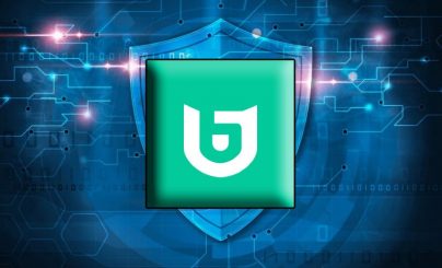 Битизен Волет