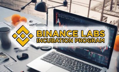 Бинанс лабс