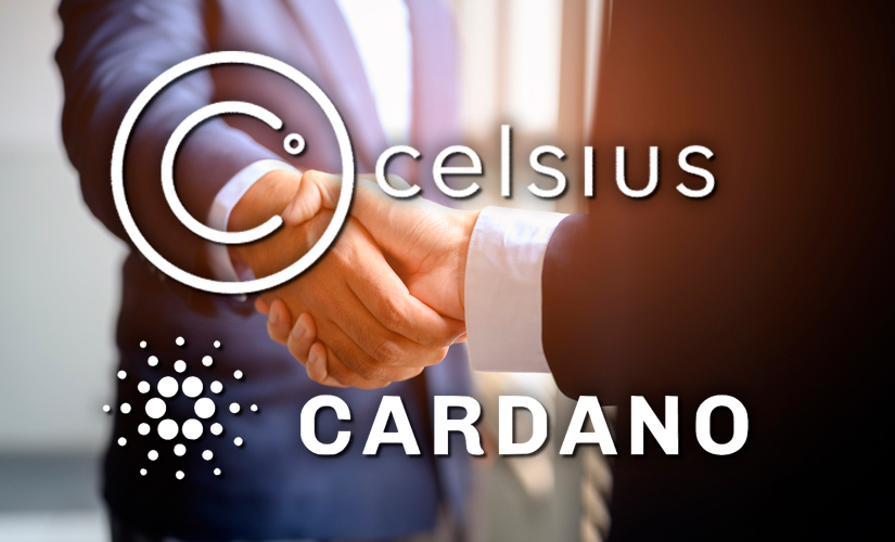 Celsius Network