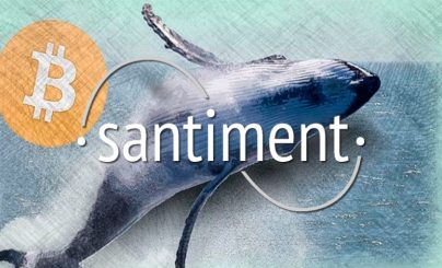 Биткоин-кит