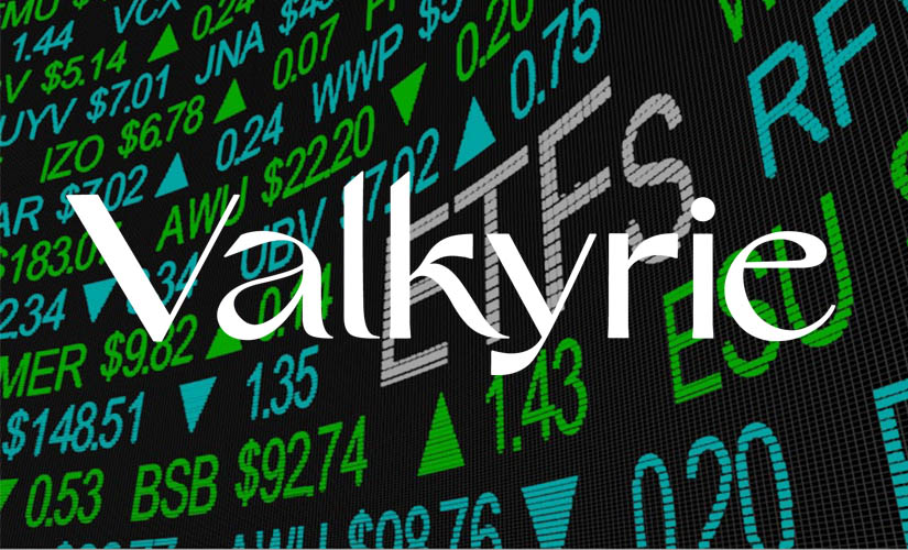 Управляющая компания Valkyrie