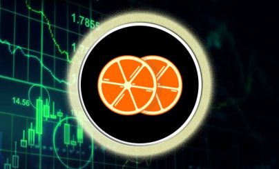 зест протокол