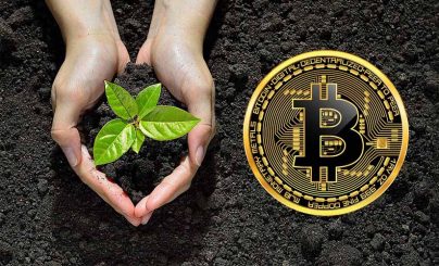 Деревья за биткоины