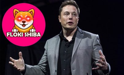 Цена FLOKI взлетела