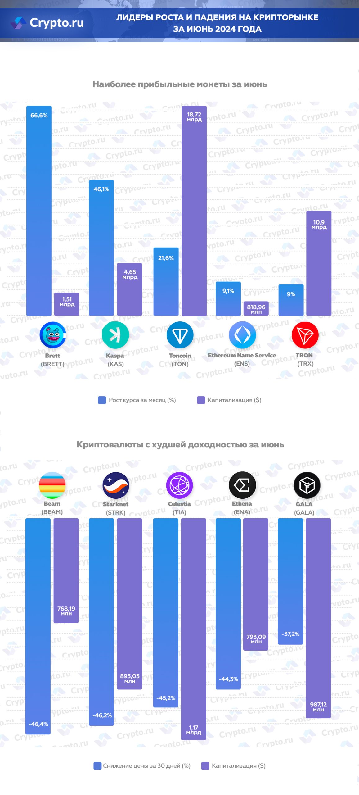 Инфографика