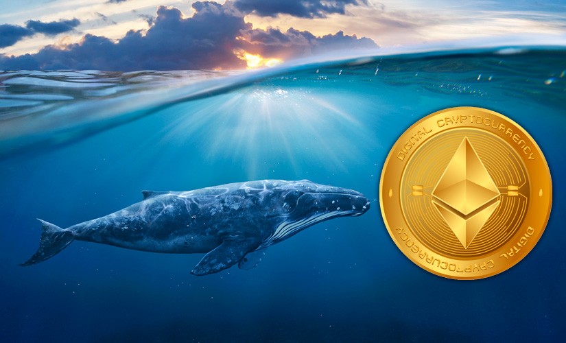 Киты Ethereum