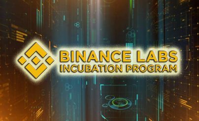 Бинанс лабс