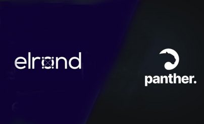 Elrond и Panther Protocol