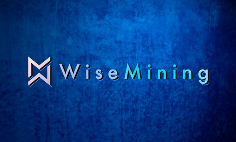 Компания WiseMining