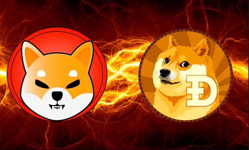 Shiba и Doge