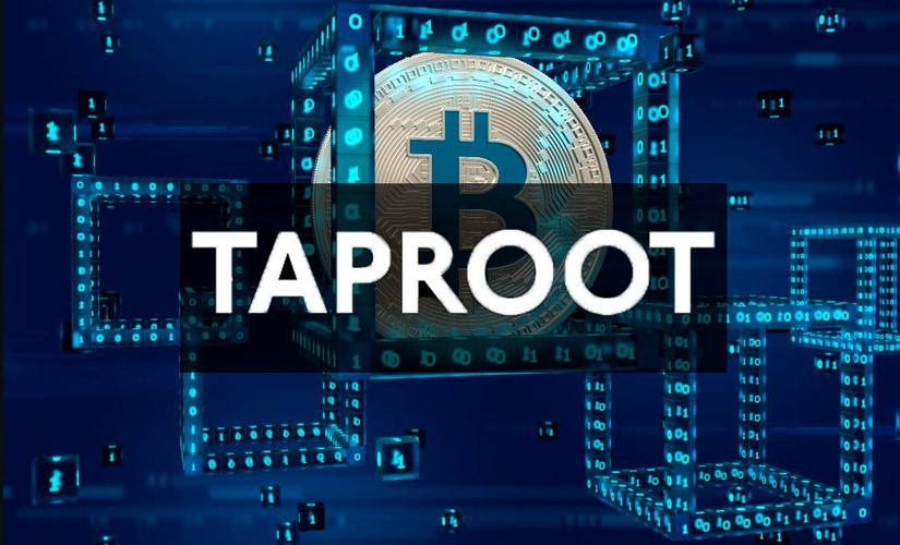 Taproot