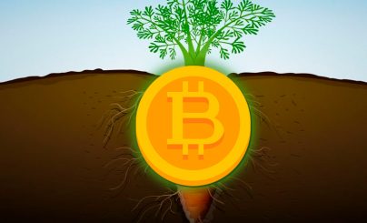 Taproot в сети Биткоин