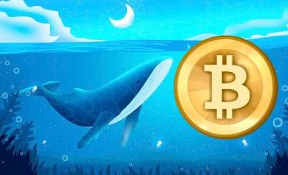 Биткоин-киты