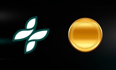 SEBA Bank AG и Gold Token