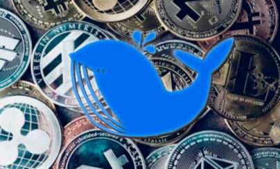 Кто такие киты в криптовалюте